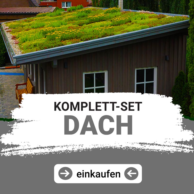 Dach beschichten mit GfK Dach beschichten mit GfK