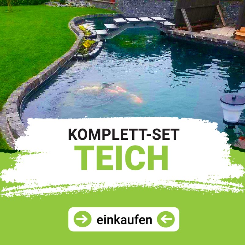 Teich selber bauen Teich selber bauen